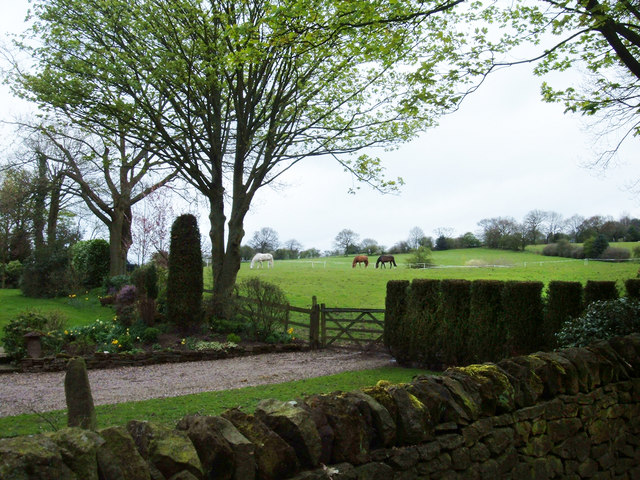 File:Pasture, Bradford House Farm - geograph.org.uk - 158327.jpg