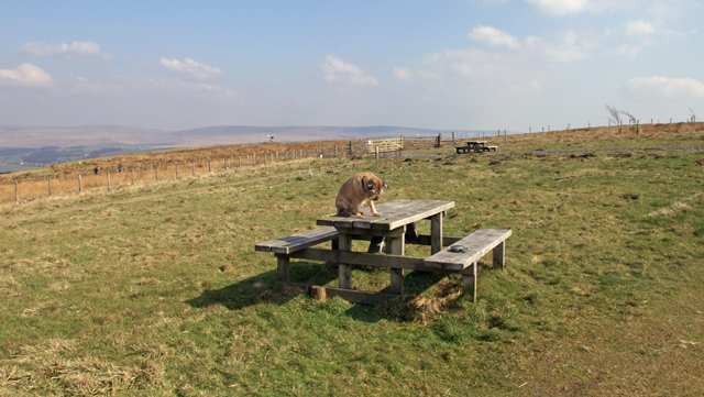 File:Picnic area at Crown Point - geograph.org.uk - 378913.jpg