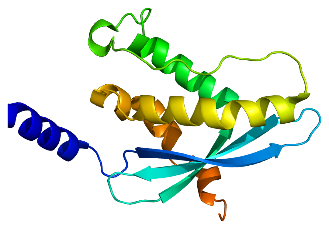 Фактор 4 5. Ген. Ген 4. 1/4 Белки. Protein coding Gene.