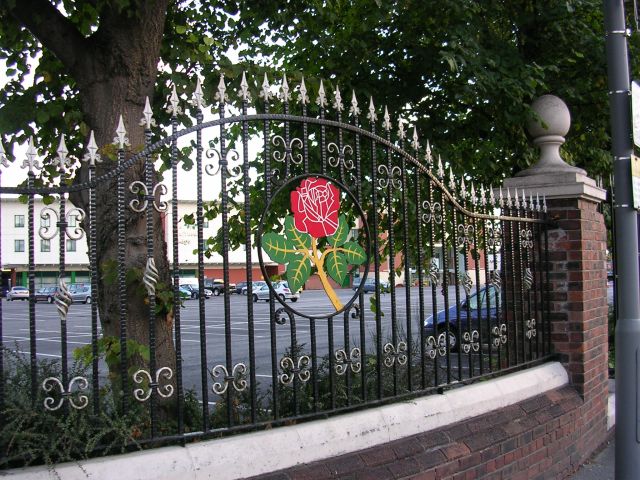 File:Red Rose of Lancashire - geograph.org.uk - 47839.jpg