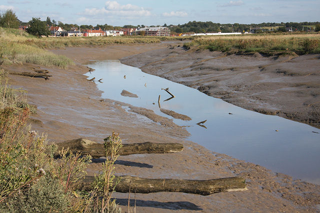 Upper Colne Marshes