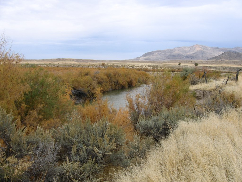 Photo of Sevier River