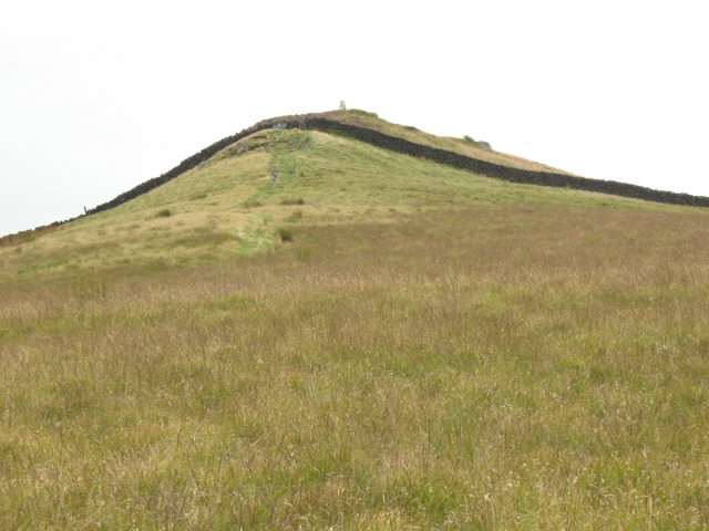 South-east flank of Sharp Haw - geograph.org.uk - 534521
