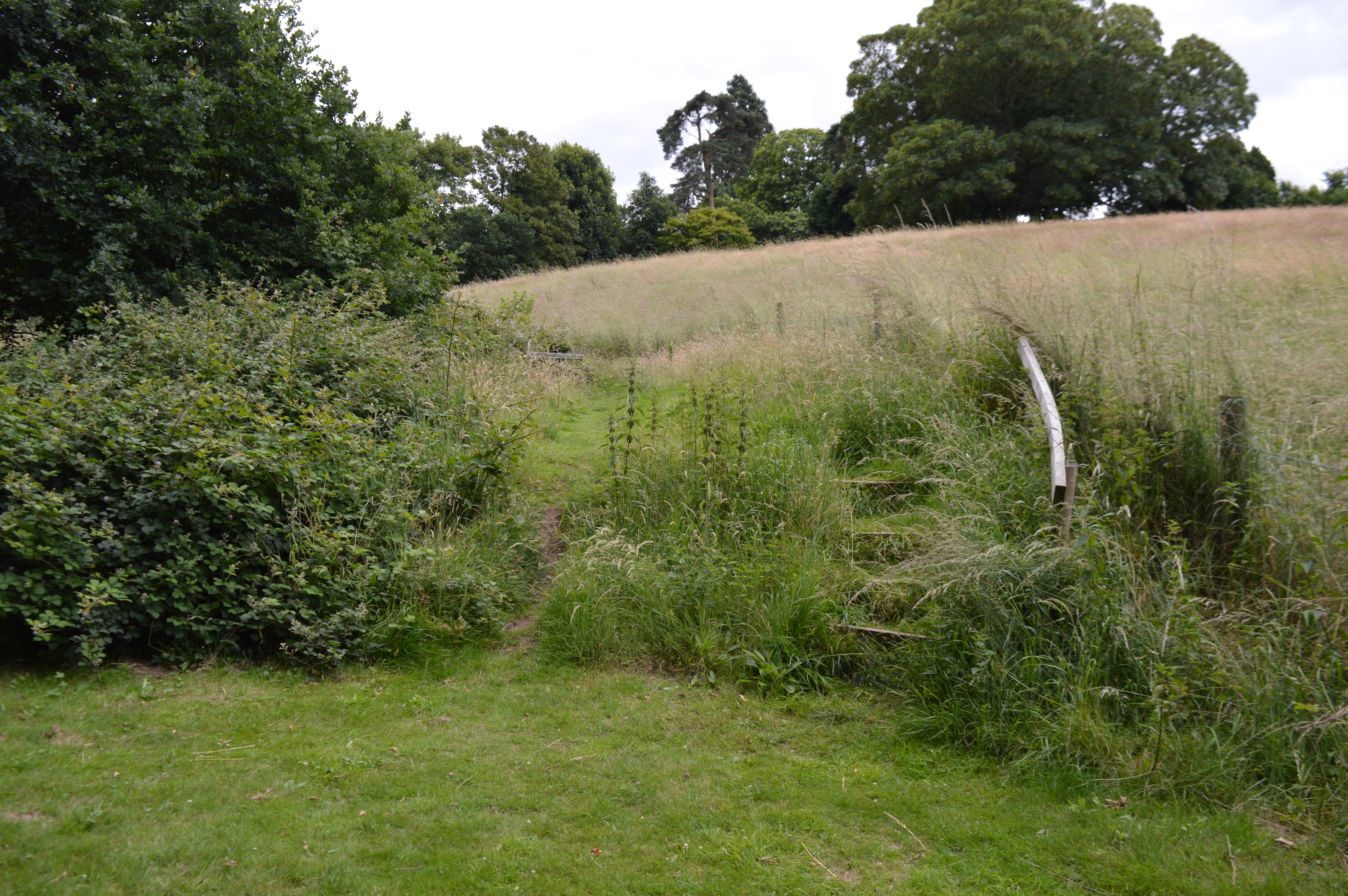 Spring Lane Meadows