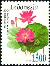 File:Stamp of Indonesia - 2004 - Colnect 384870 - Flora - Nelumbo nucifera.jpeg