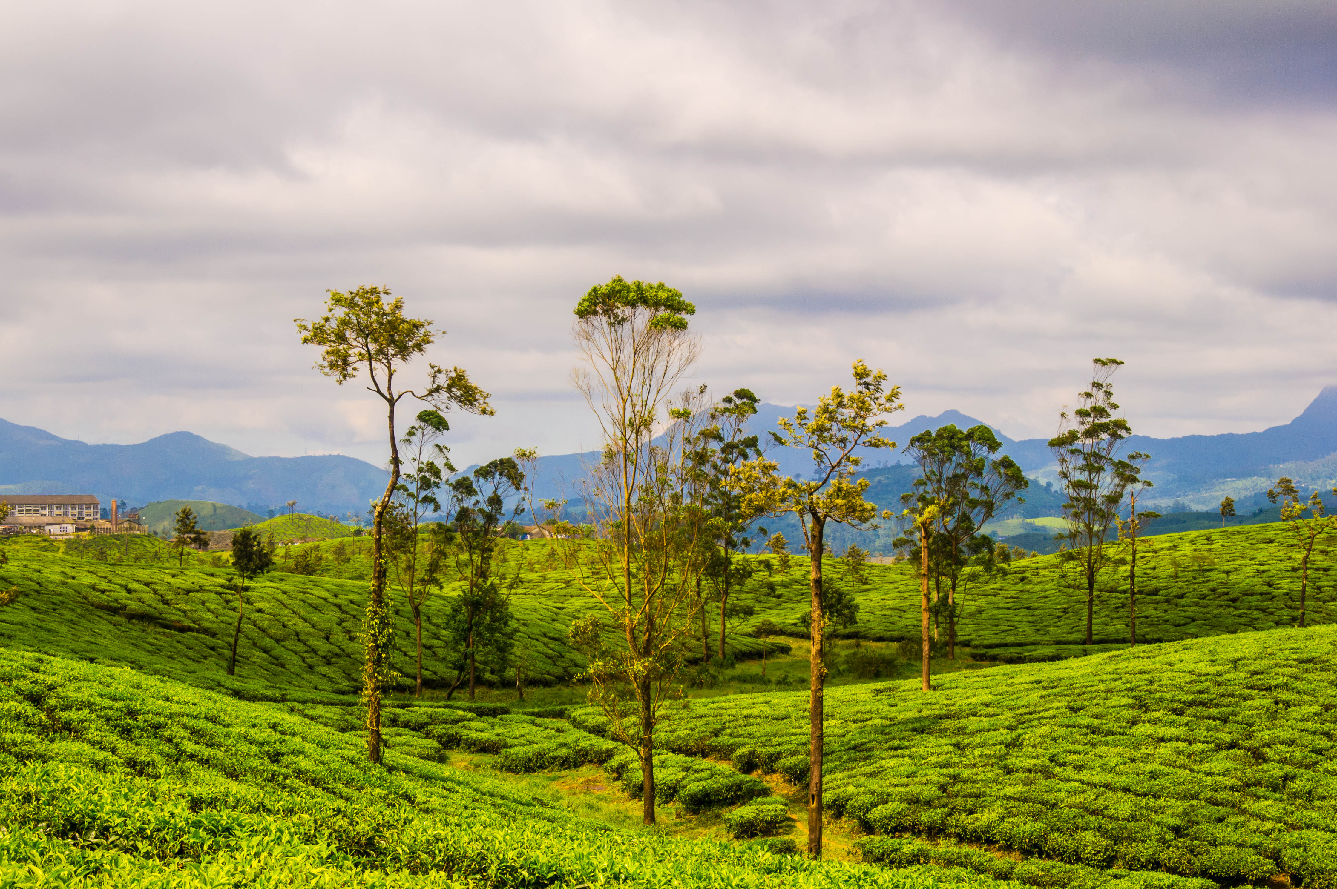 Topslip Valparai Tour from Coimbatore