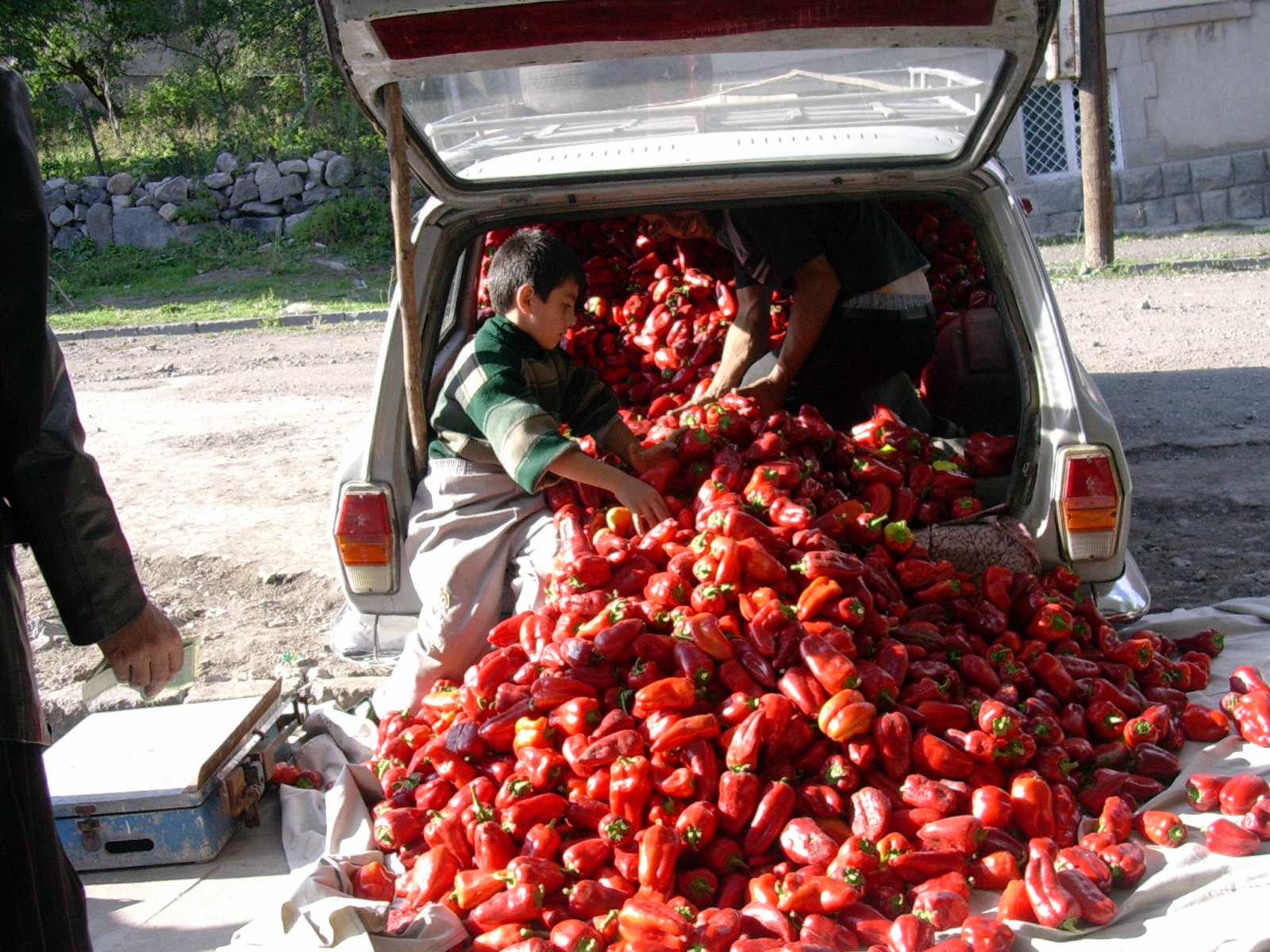 http://upload.wikimedia.org/wikipedia/commons/1/1c/The_Capsicum_car-boot_sale-_Goris_Armenia_-_panoramio.jpg