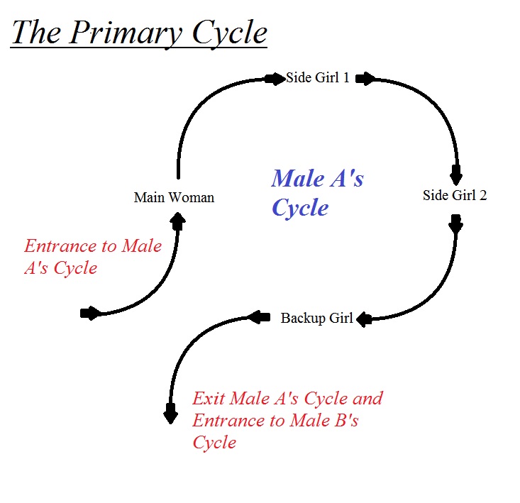 early phases of dating