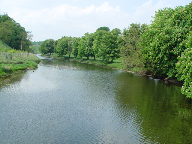 The River Wharfe - geograph.org.uk - 820106