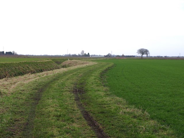 File:Track And Drain - geograph.org.uk - 657547.jpg
