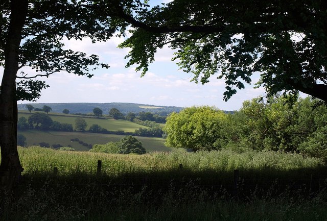 File:View through the trees above Week Farm - geograph.org.uk - 1942787.jpg