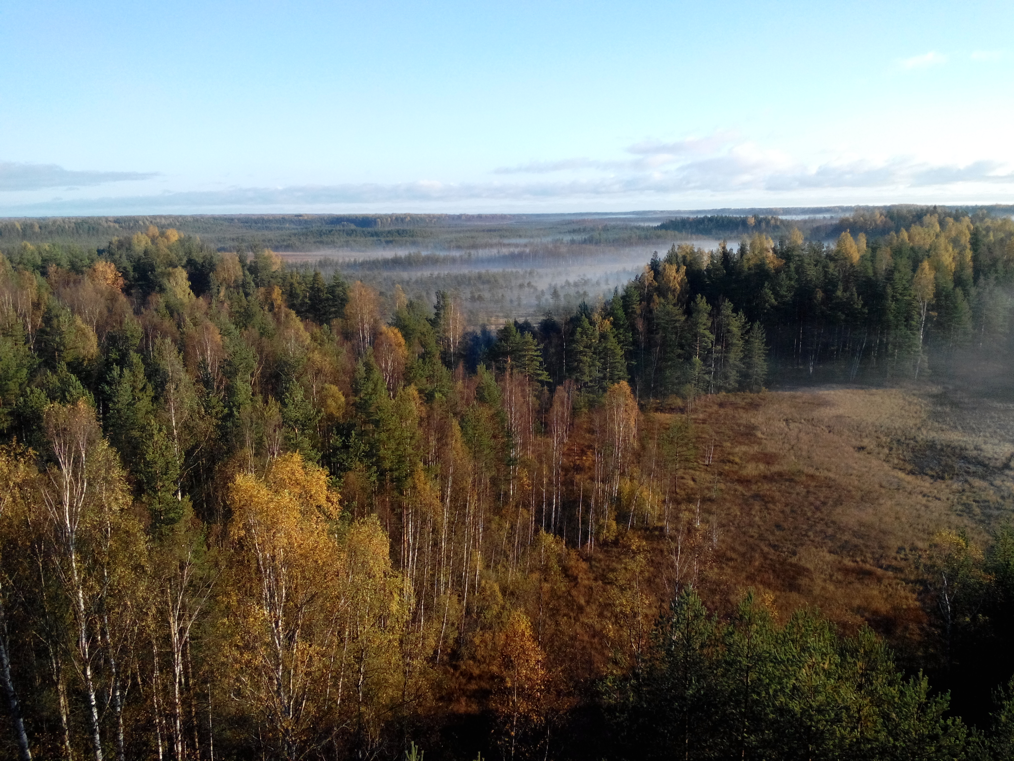 Гора тараторкина ленинградская область фото