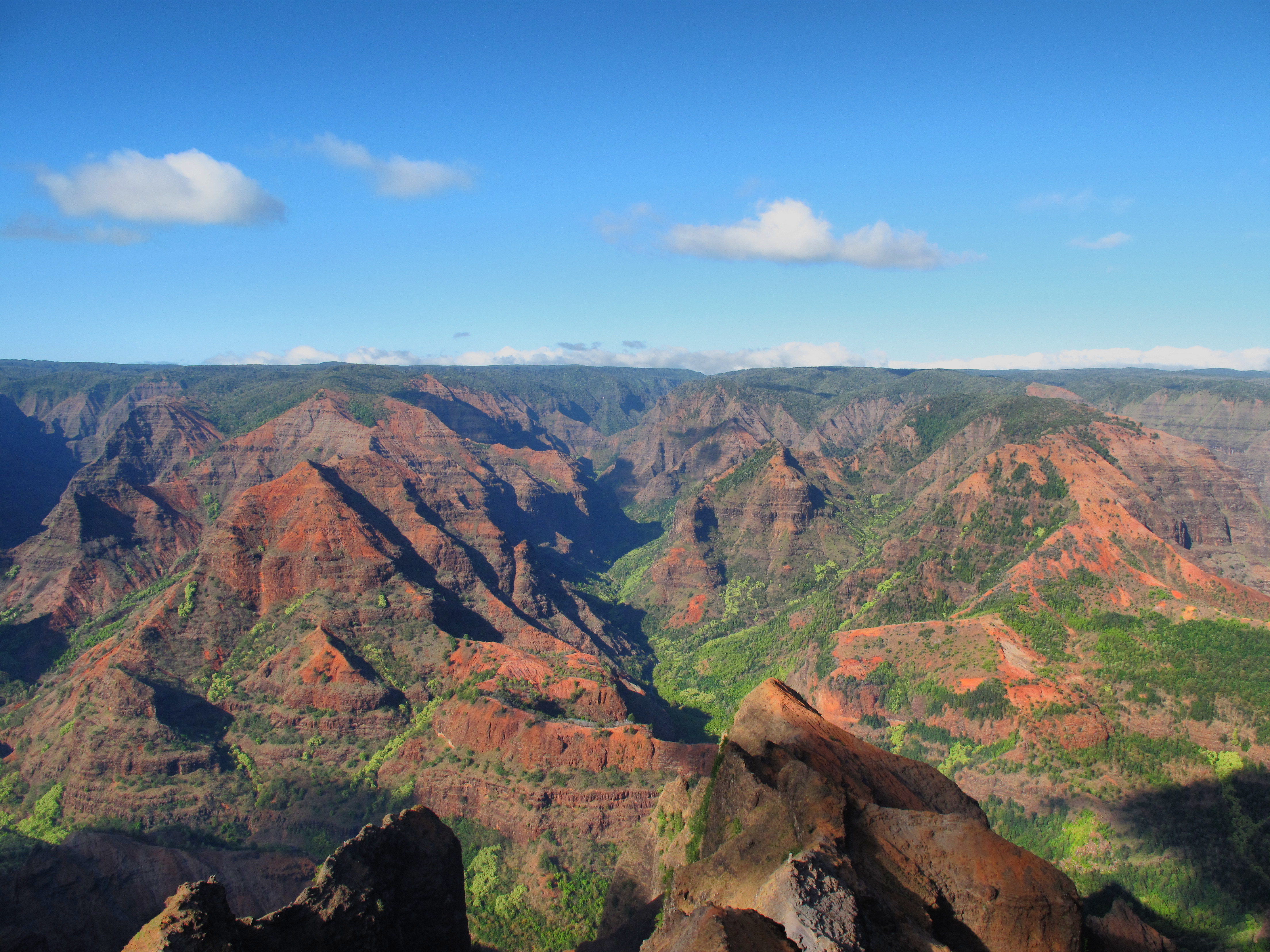 The Majesty of the Canyon