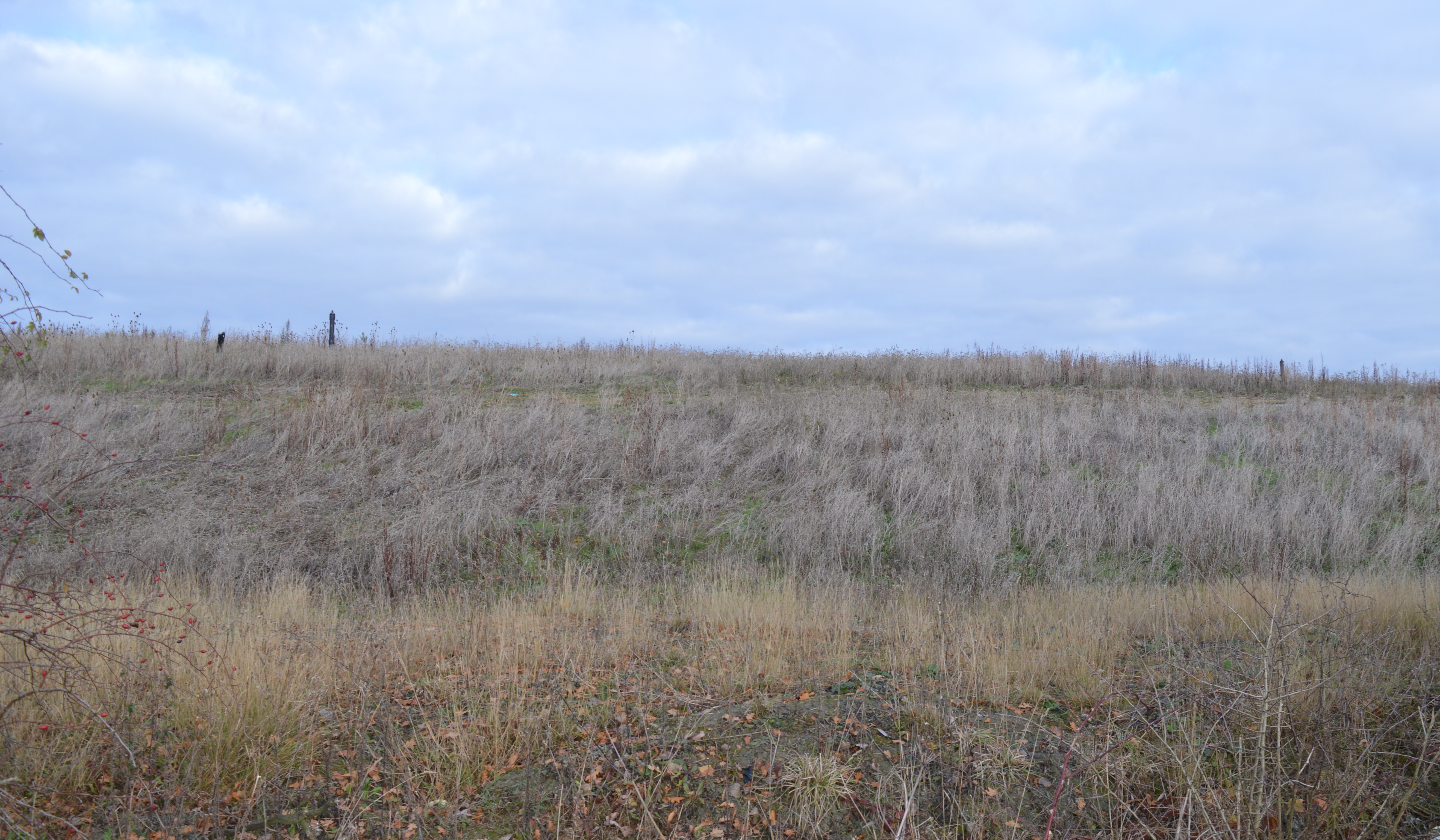 Warboys Clay Pit