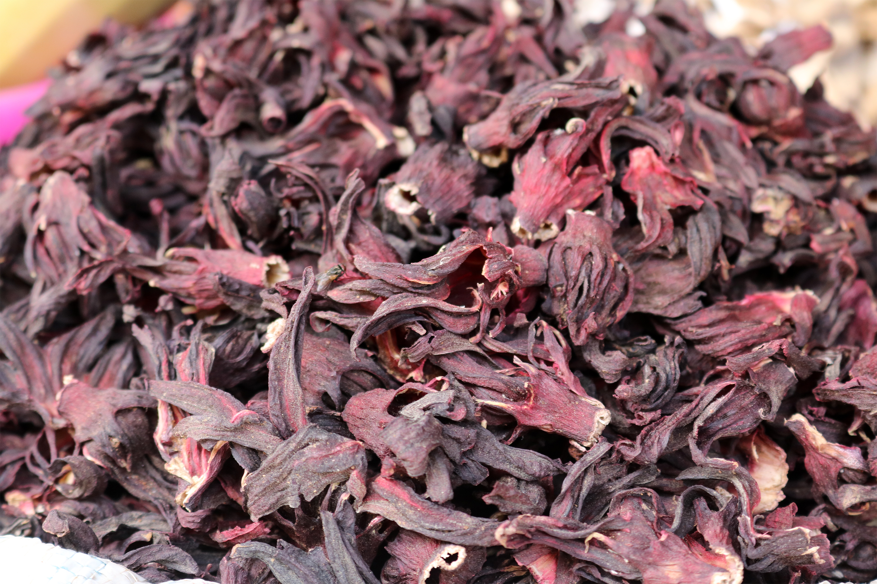 File:Zobo Leaves (Hibiscus Sabdariffa).jpg - Wikimedia Commons