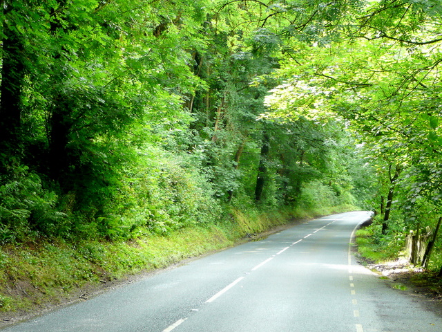 File:A466 Wye Valley Road - geograph.org.uk - 1402653.jpg