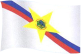 Bandeira de PF, Amazonas.JPG