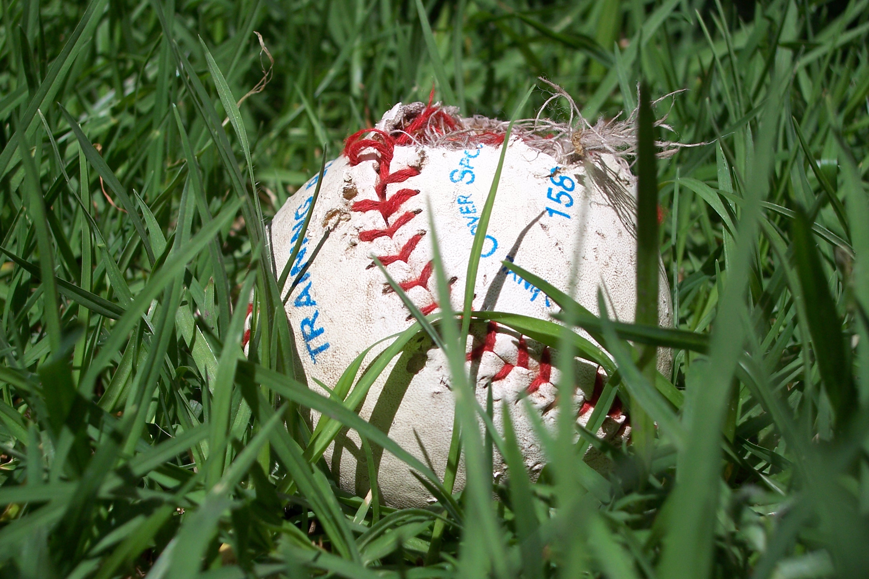 File:Baseball in the grass.jpg - Wikimedia Commons