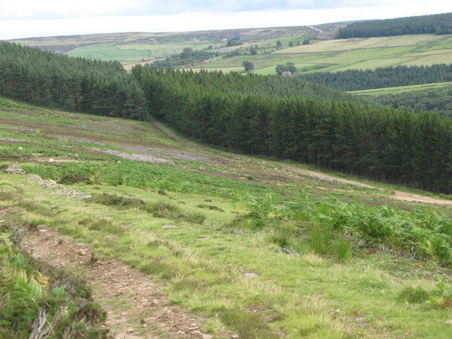 File:Beldon Shields - geograph.org.uk - 505327.jpg