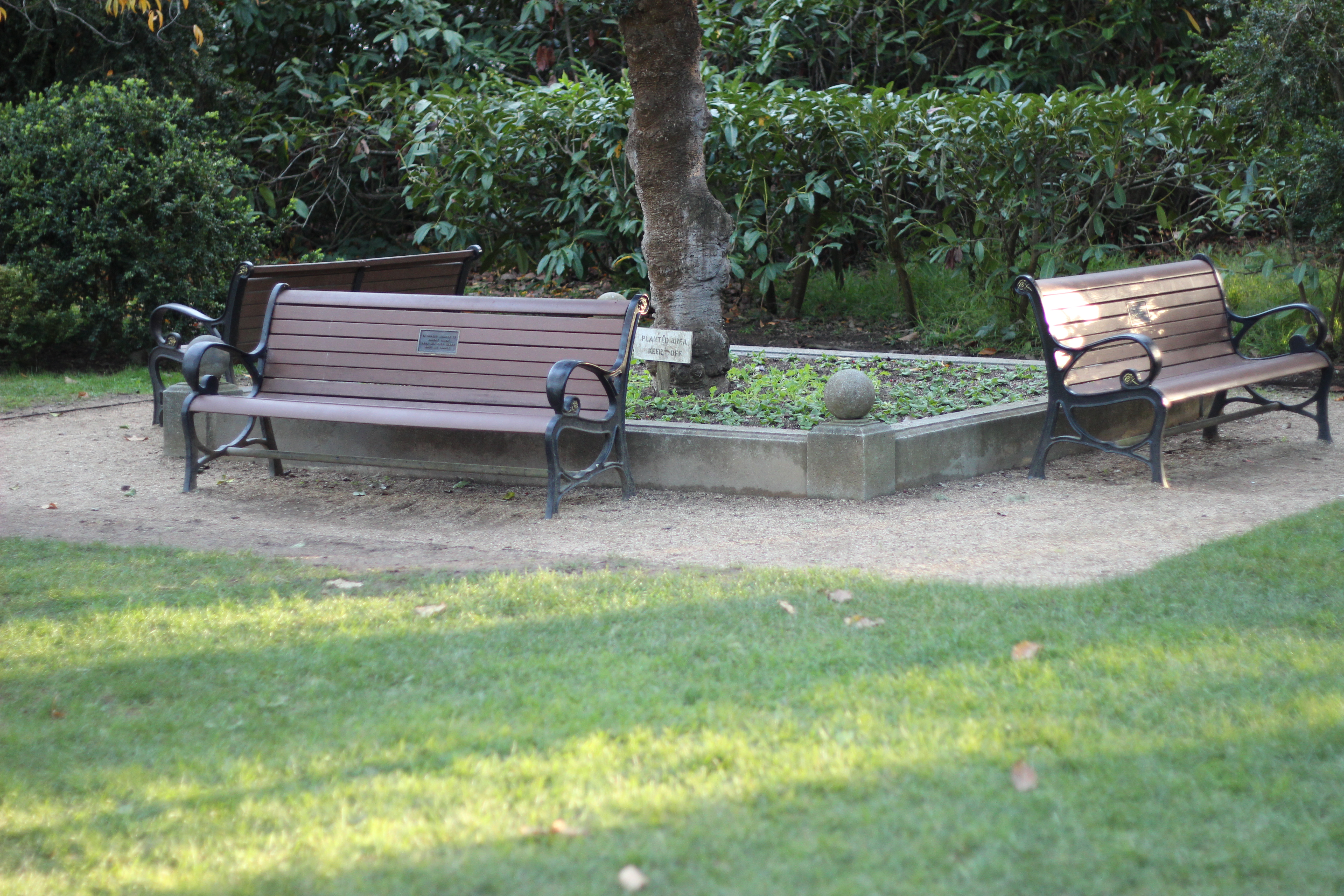 File Bench In Shakespeare Garden Sf Jpg Wikimedia Commons