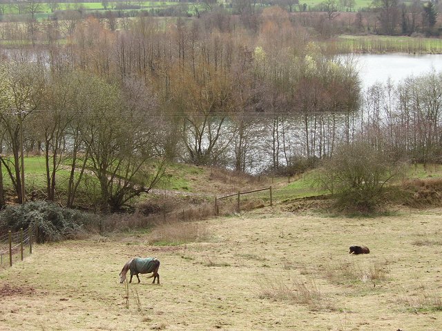 File:Bodenham gravel pits - geograph.org.uk - 146396.jpg