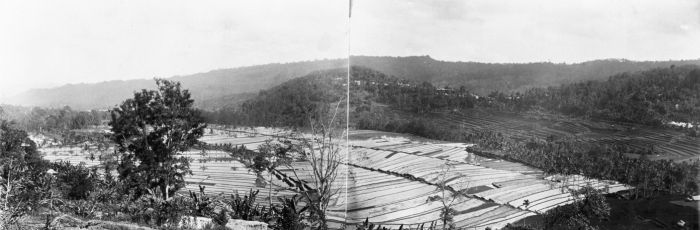 File:COLLECTIE TROPENMUSEUM Gezicht over rijstvelden bij Moendoek TMnr 60017244.jpg