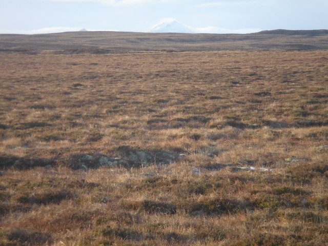 File:Caithness Peatland - geograph.org.uk - 660328.jpg