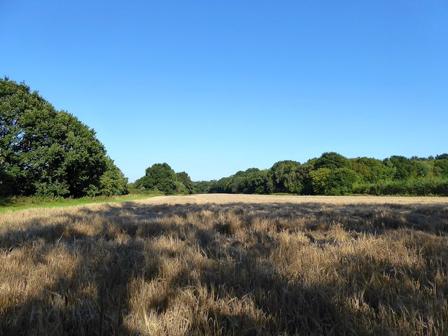 File:Calves Lodge Field - geograph.org.uk - 6251190.jpg