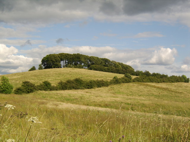 File:Castle Hill, Bearsden - geograph.org.uk - 502111.jpg