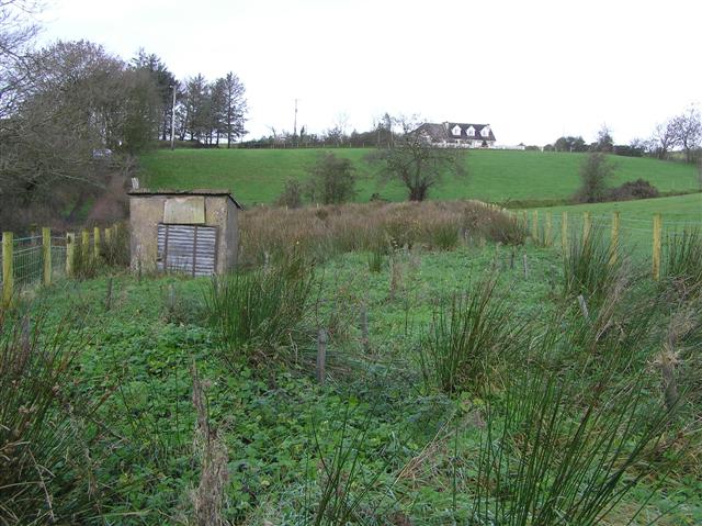 File:Conservation work, Errigle - geograph.org.uk - 1058984.jpg