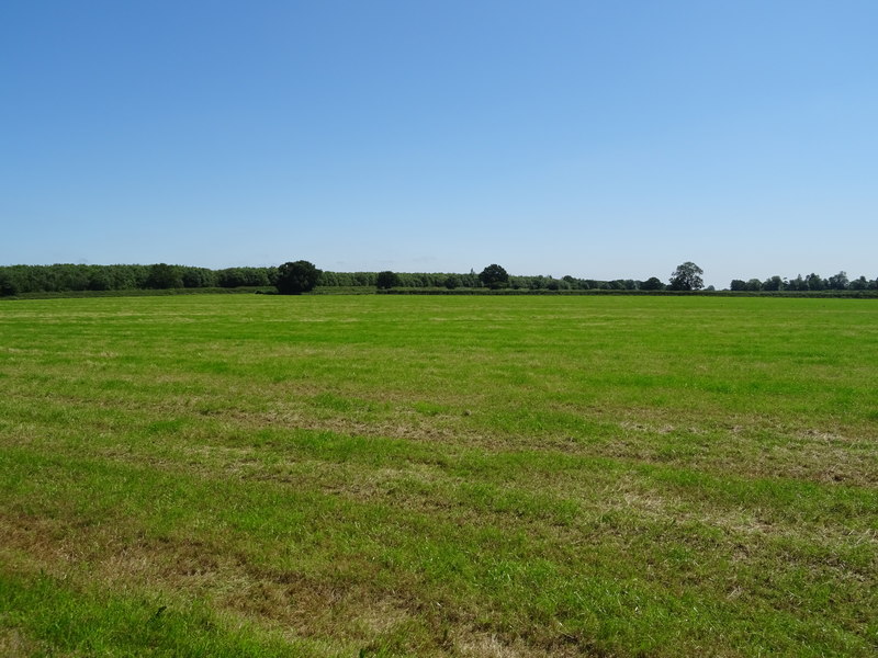 File:Cut silage field, The Elms - geograph.org.uk - 6200592.jpg