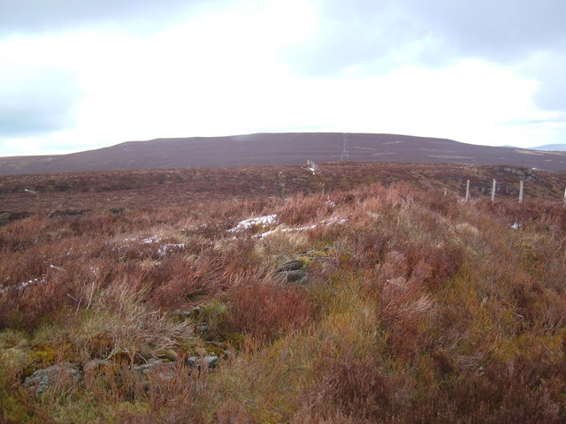 File:Dewey bagging - geograph.org.uk - 754282.jpg