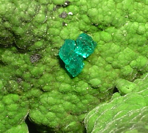 File:Dioptase-Mottramite-261481.jpg