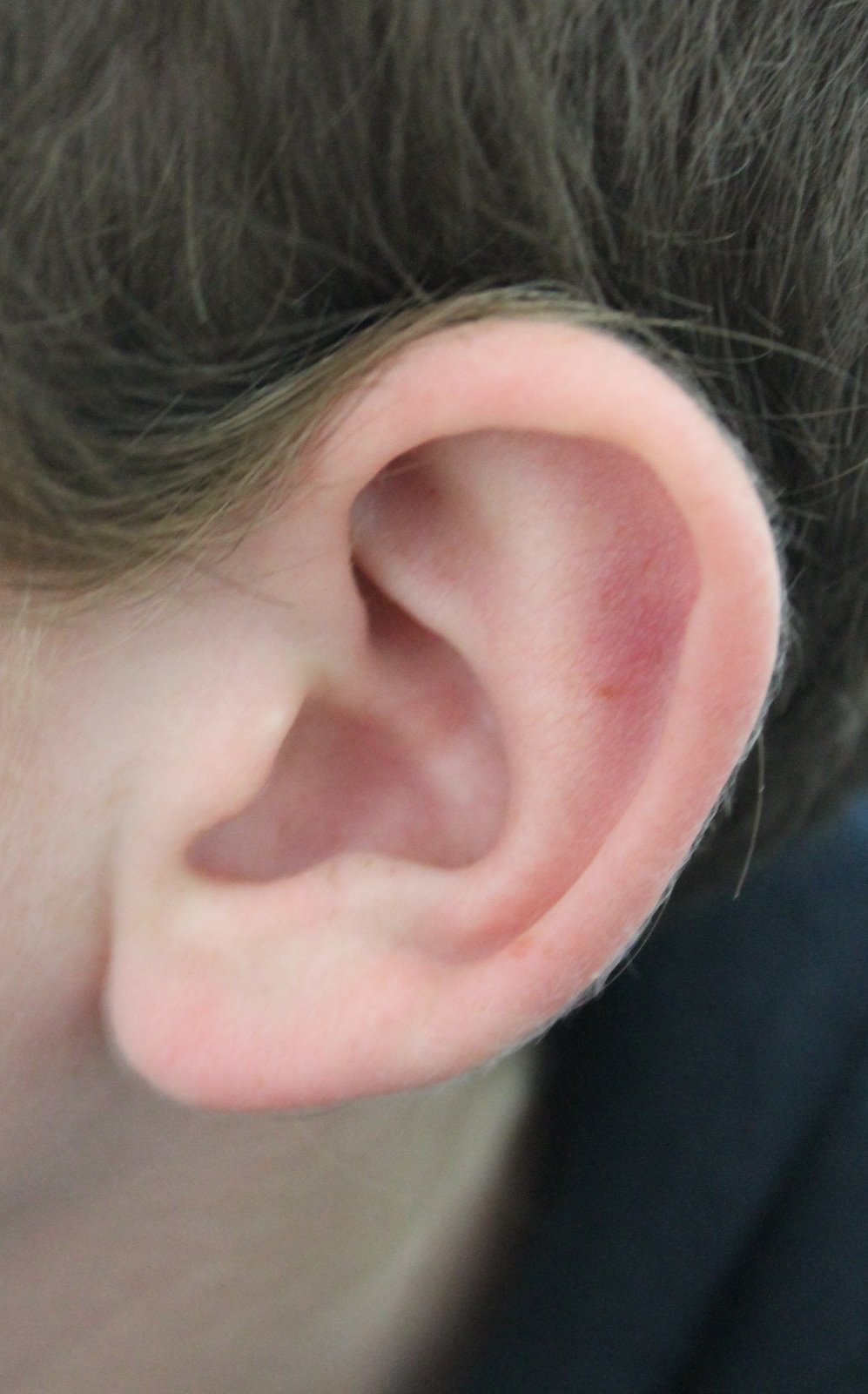 ear-wikipedia