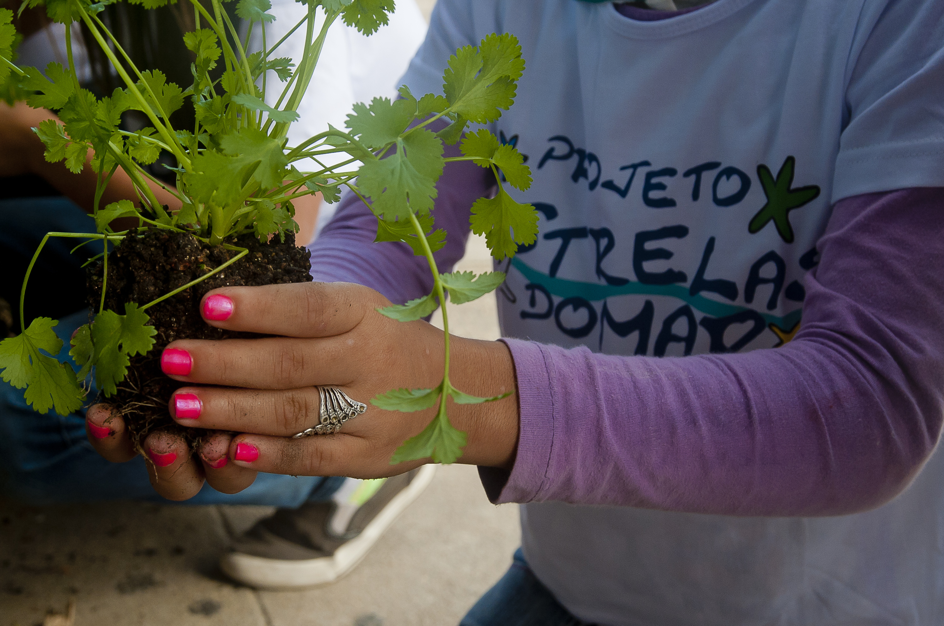 Projeto Educação Ambiental