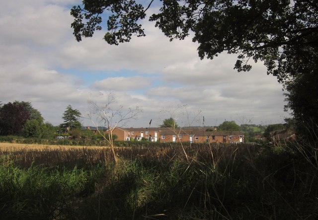 File:Field, Walton - geograph.org.uk - 3140410.jpg