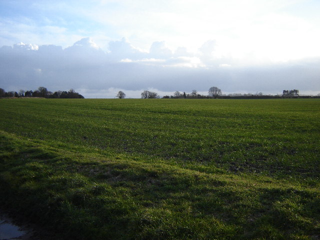 File:Fields near Binsted - geograph.org.uk - 123373.jpg