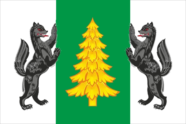 File:Flag of Lesosibirsk.png