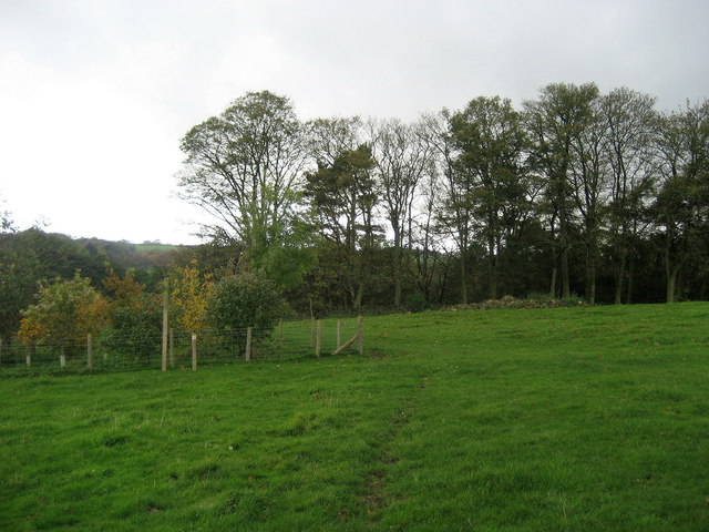 File:Footpath by Woodfield Farm - geograph.org.uk - 275550.jpg