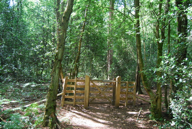 Gate across the path, Marley Common - geograph.org.uk - 2048178