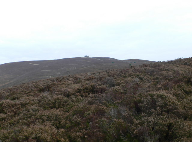 File:Heathland between Moel Famau and Moel y Gaer - geograph.org.uk - 615023.jpg