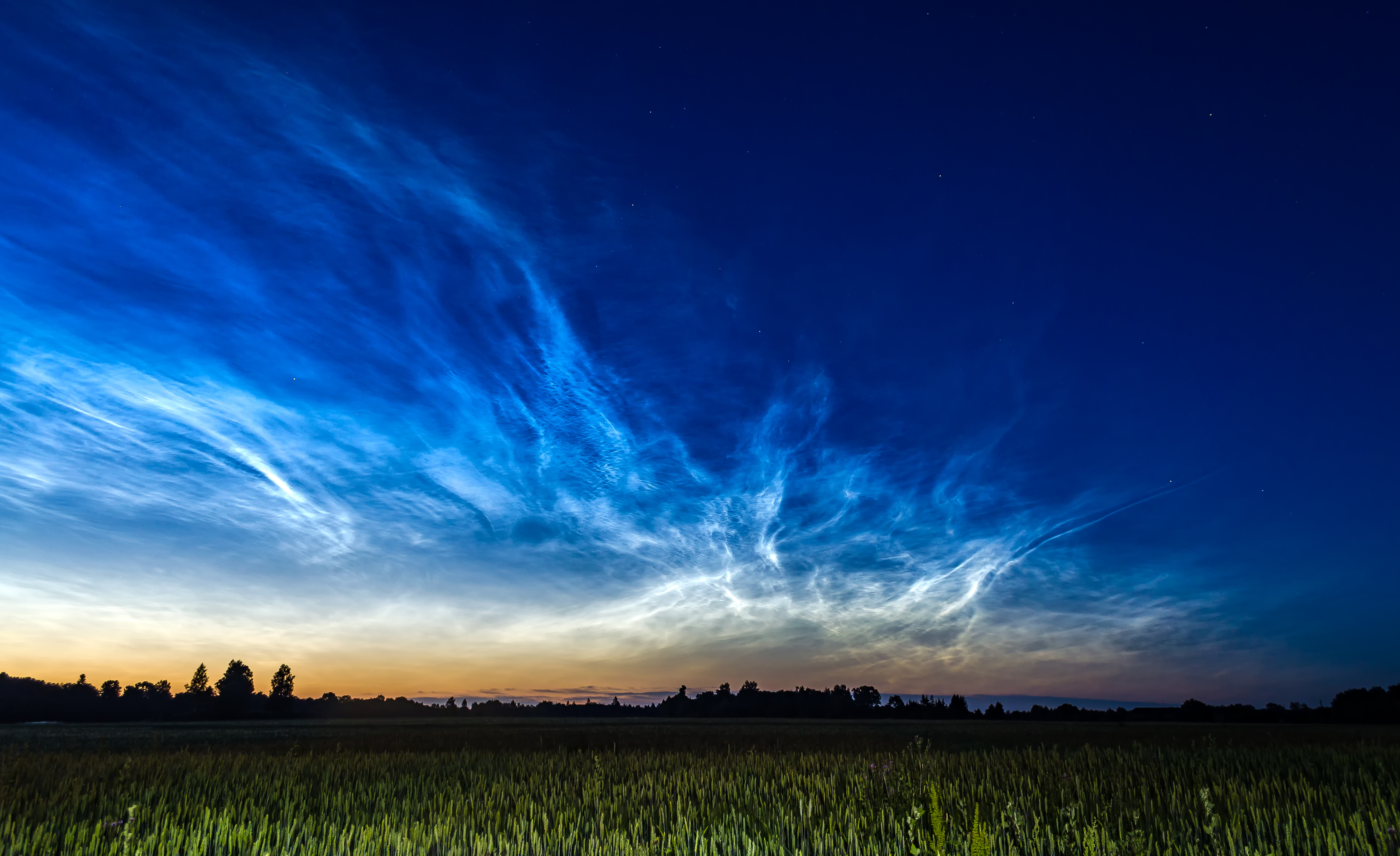 a noctilucent cloud, credit Wikipedia