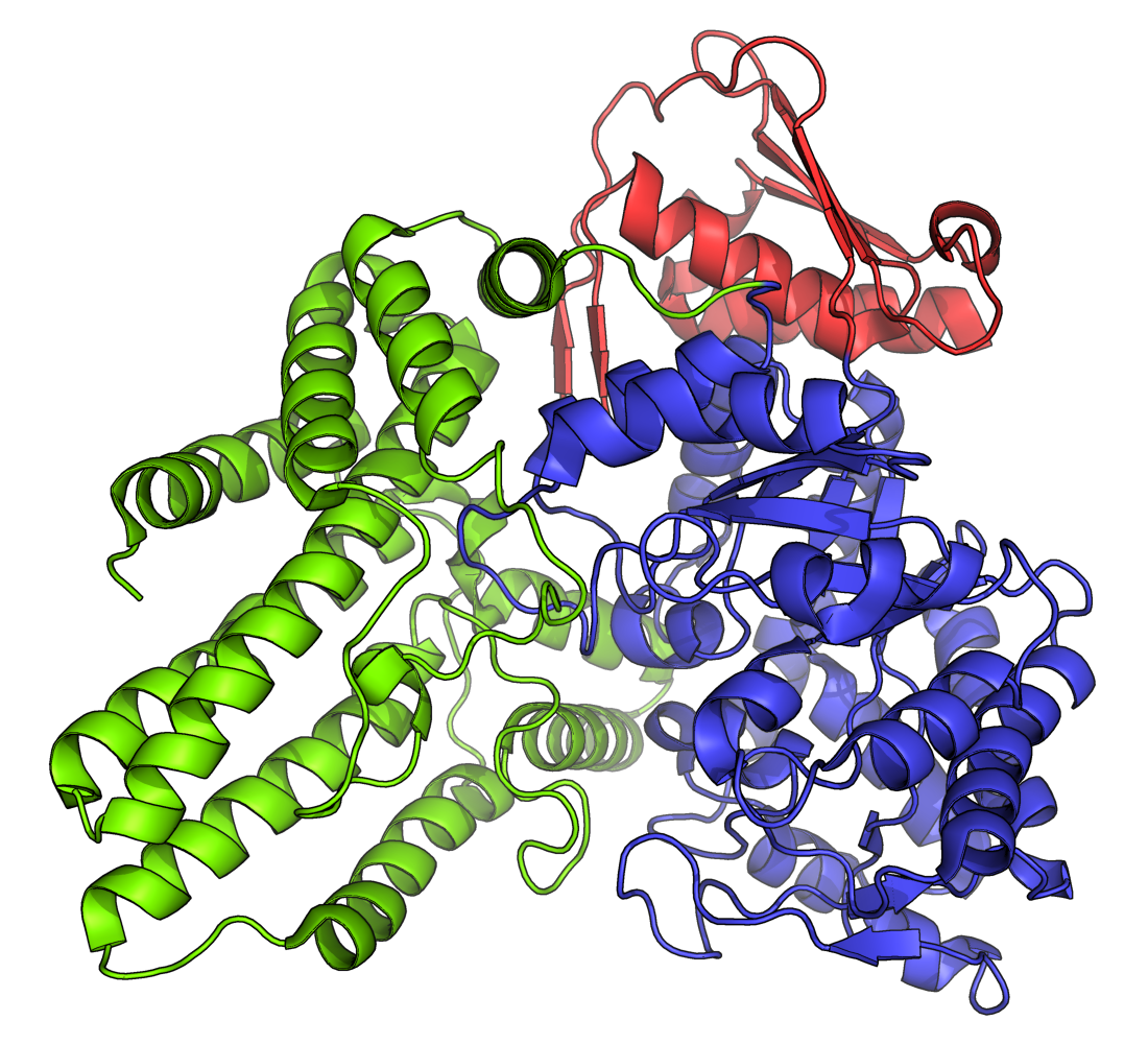 Α n α n 1. Cytochrome p450. Цитохром p450 монооксигеназа. Ферменты p450. Цитохром p450 витамин.