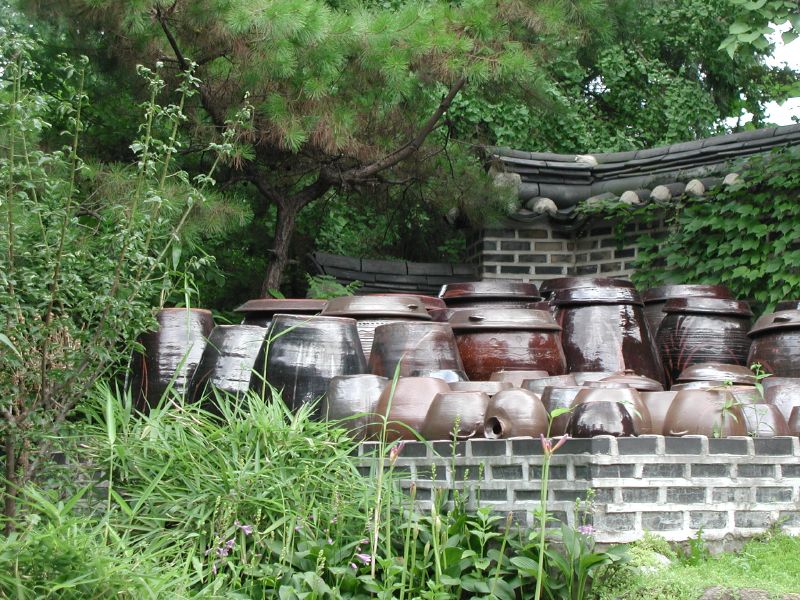 https://upload.wikimedia.org/wikipedia/commons/1/1d/Korea-Hanok-Jars-Kimchi-01.jpg