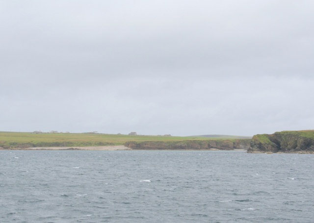 File:Lime Banks to the west of Grim Ness. - geograph.org.uk - 530108.jpg