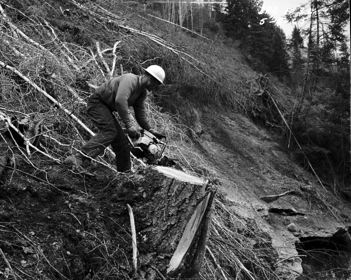 Commons logging. Logging workers. Logger work. Loggers.