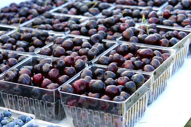 File:Michigan Cherries, 2009 July.jpg