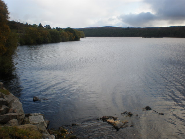 File:North East shore of Loch Migdale - geograph.org.uk - 1532276.jpg
