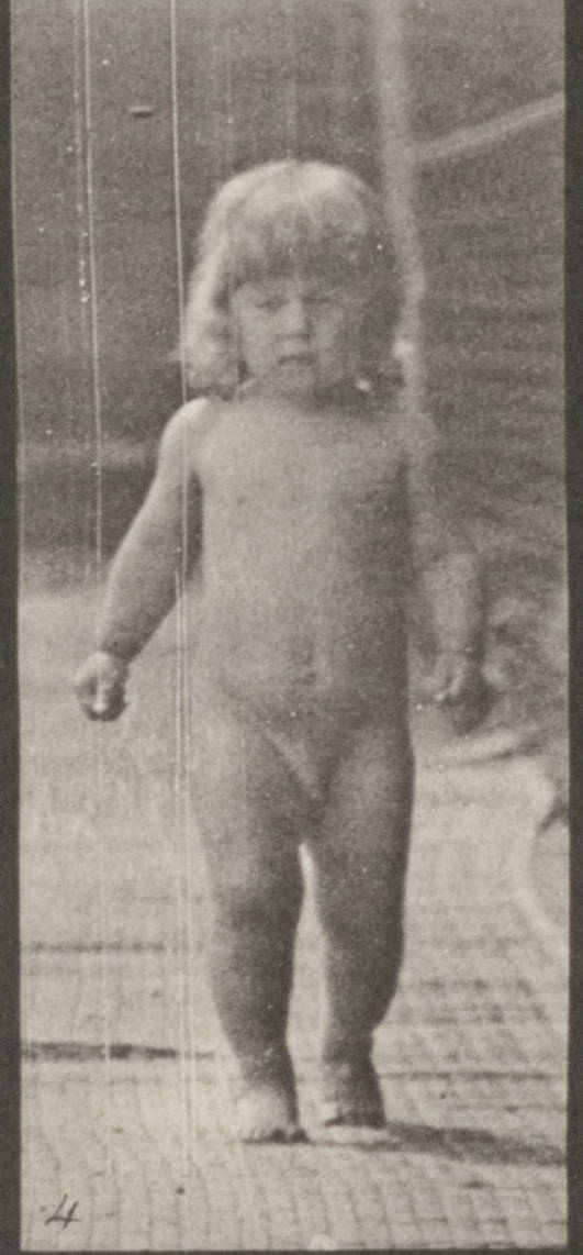 nudist toddler 