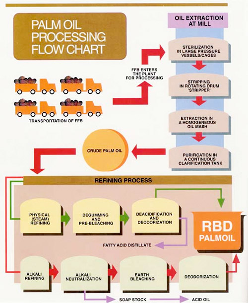 Palm Oil Refining Process Flow Chart